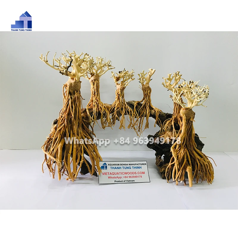 2024 лучшие товары бонсай коряги для украшения аквариума по доступной цене WhatsApp 84 961005832