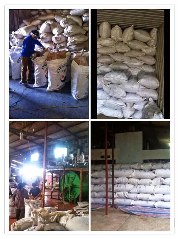 Vietnam Black Tea CTC good Quality for wholesale