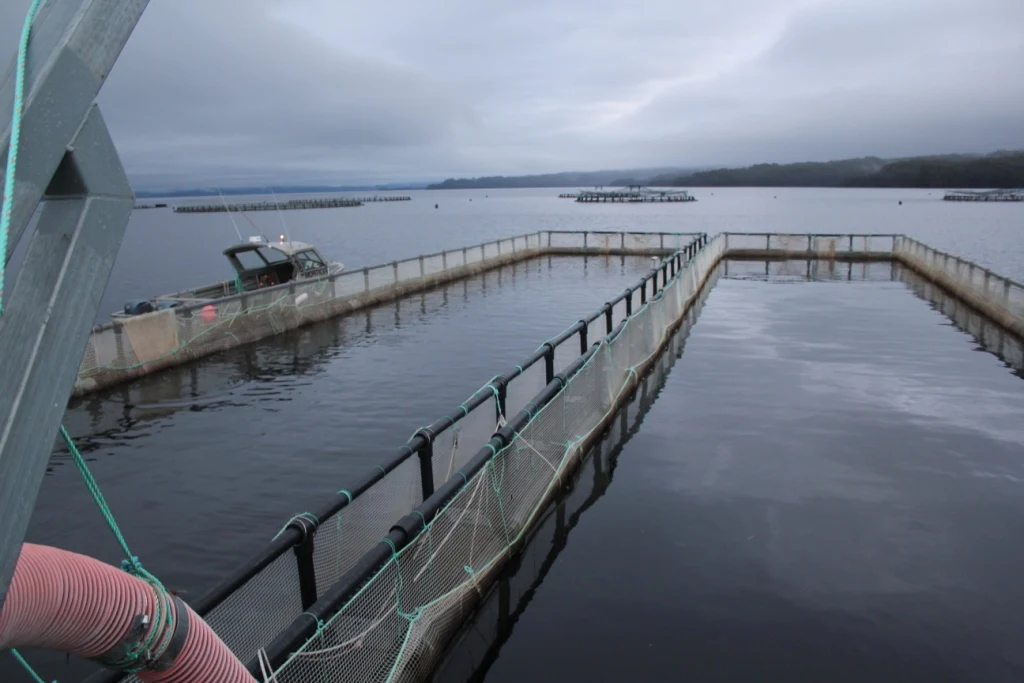 Fish Farming Cage floating fish cages