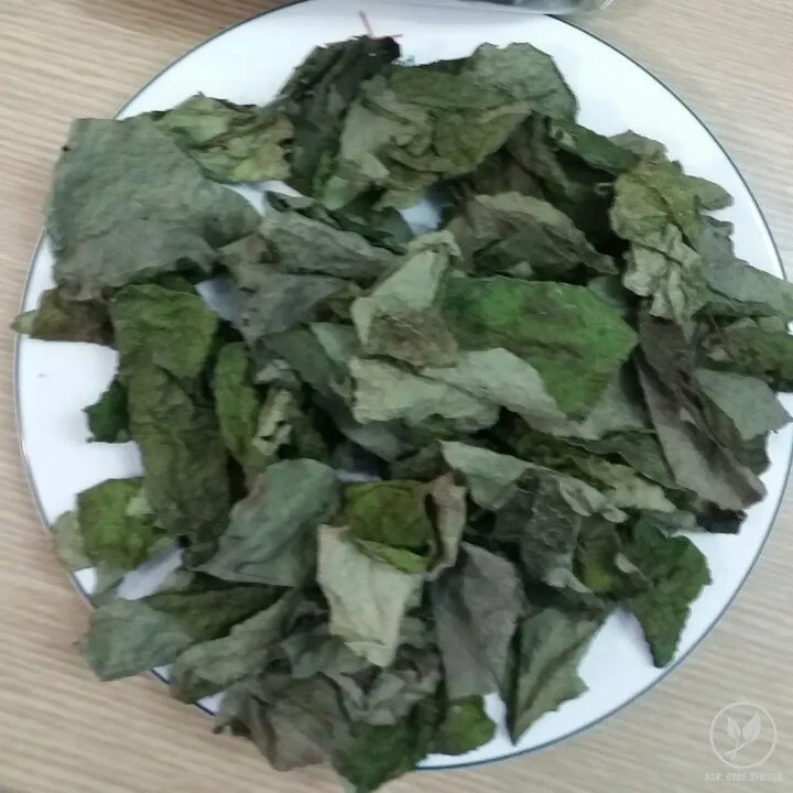 100% порошок Tiliacora Triandra по лучшей цене Вьетнам лист суонсам/порошок Yanang (Shyn Tran + 84382089109)