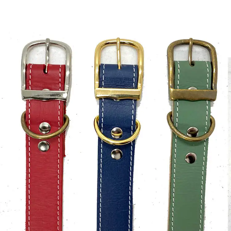 double layer dog collar 