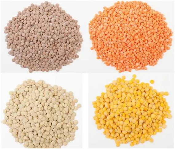 Lentils/Masoor Dhal/.....