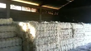  Натуральное сизалевое волокно и пряжа кенийского происхождения 1. Сизалевое из лучшей сизалевой конопли