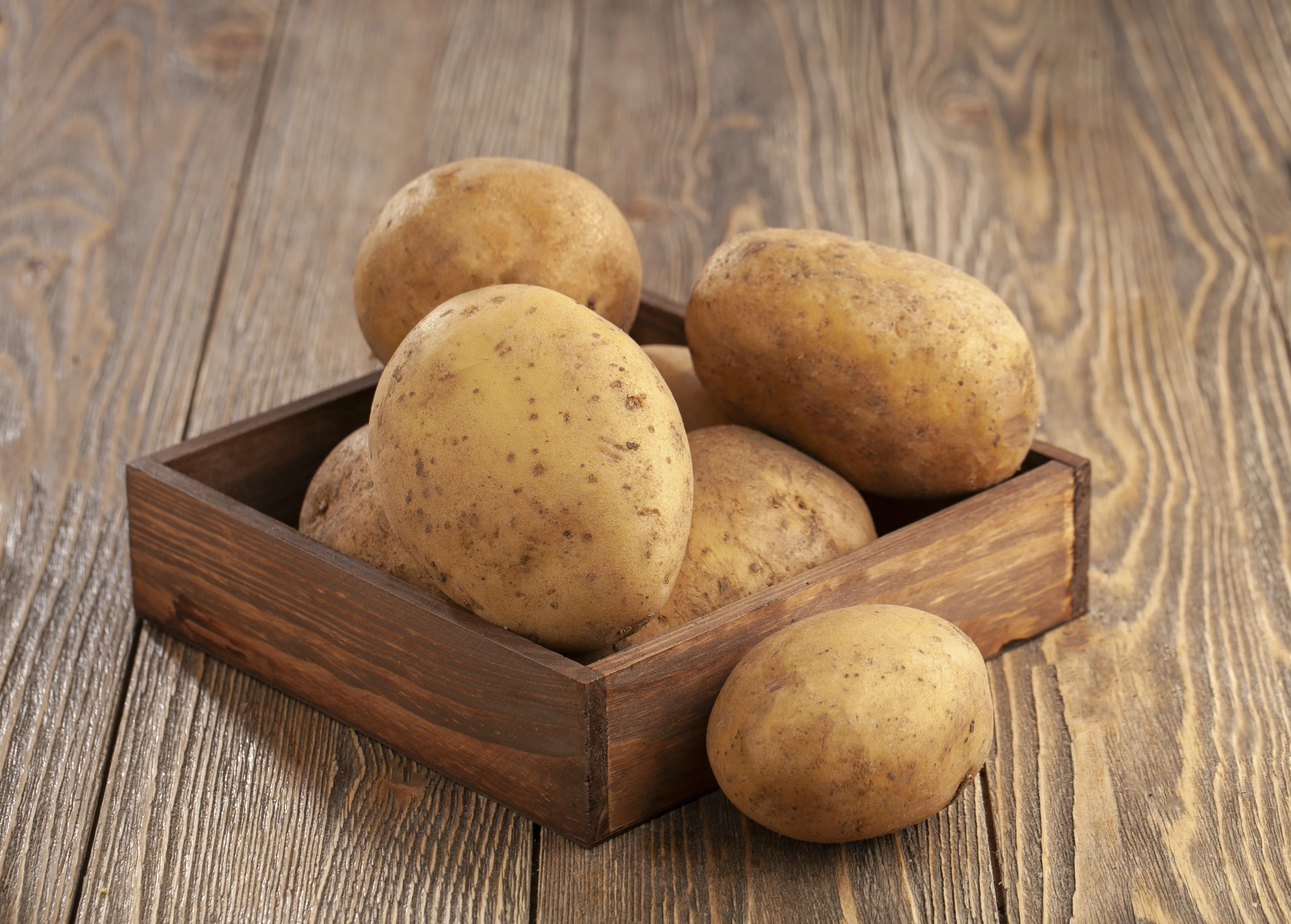 New Crop %100 Organic Patatoes Hot Sale Big Potatoes Premium Quality Fresh Potato - Made in Turkey