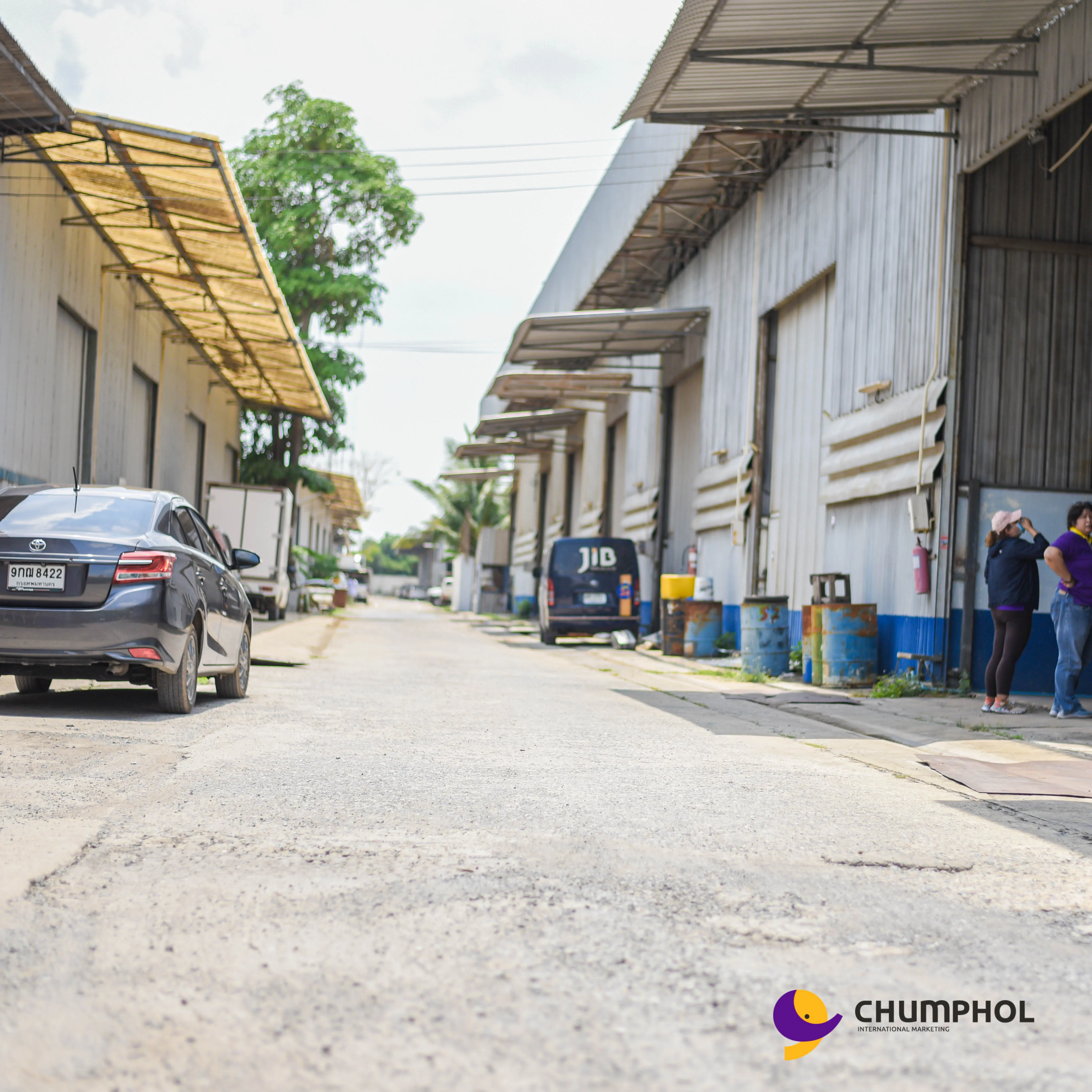 
Best Wholesale Price Steel Structure Godown Designsteel Warehouse Phatumtani In Thailand 