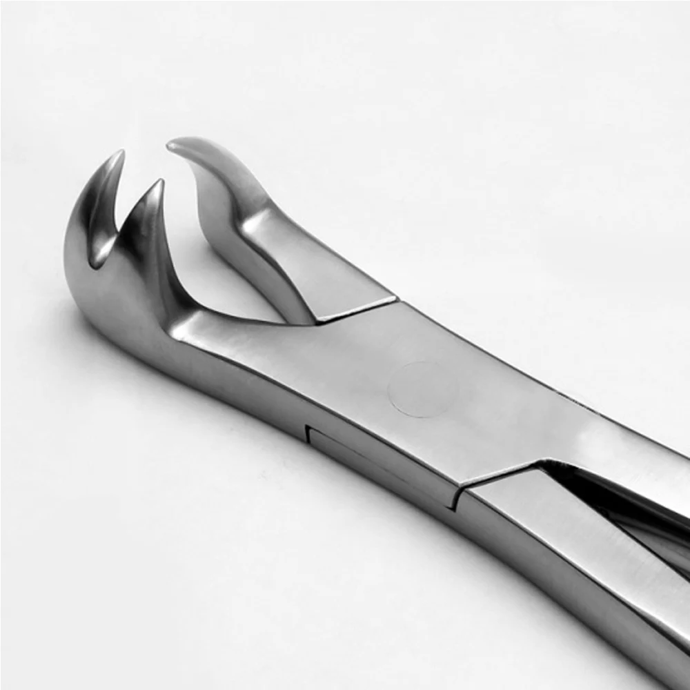 Veterinary Teeth Forceps High Quality Tooth Rasps Tooth Rasp For Animals Applicator Tooth Cutter Extracting Forceps Dental