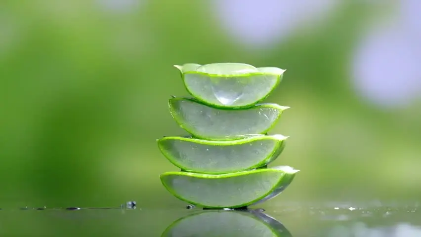  Гарантия качества квадратные белые кубики алоэ вера-Хелен + 84374288086