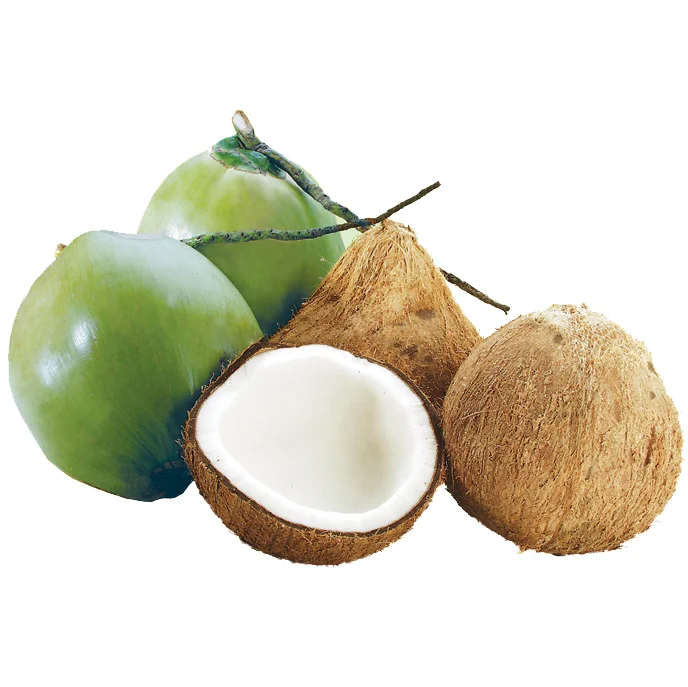 Высшее качество молодой кокос свежий Вьетнам экспорт 100% свежие фрукты Лучшая цена высокое натуральные вкусные напитки продукт
