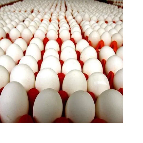 cheap Farm Fresh Chicken Table Eggs Brown and White Chicken Eggs at competitive prices