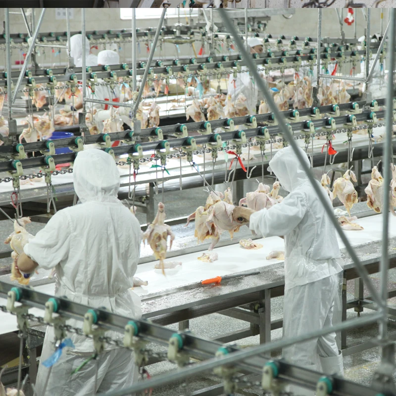 Processing plant meat poultry, production in China