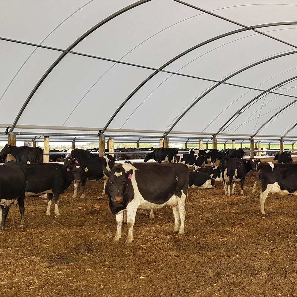 Рама быстрая установка промышленный сарай хранилище сарай горячеоцинкованная сталь с сильной скоростью ветра выдерживает 150 км/ч металл