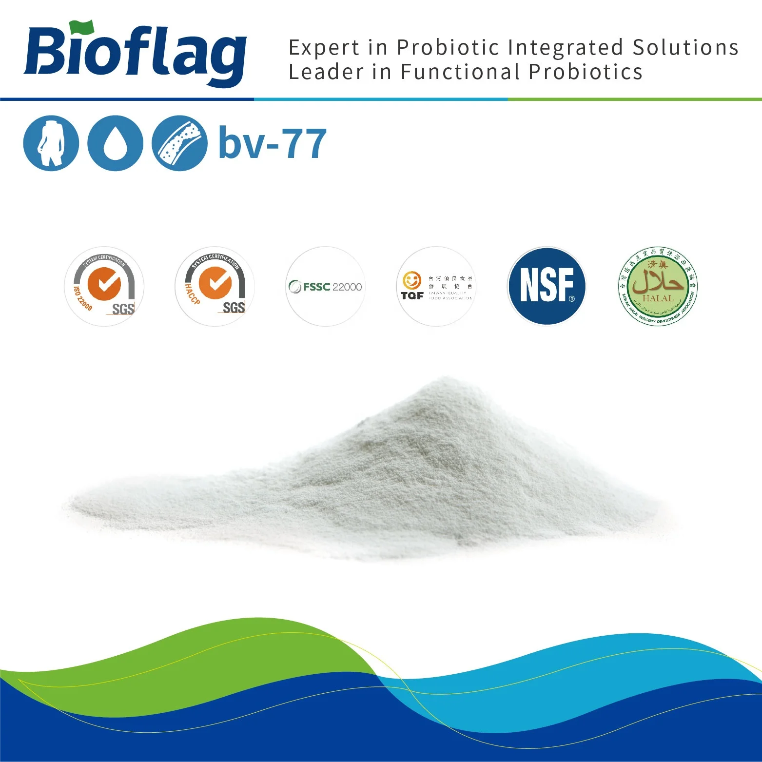 weight loss and cardiovascular disease prevention  probiotics Lactobacillus rhamnosus bv-77