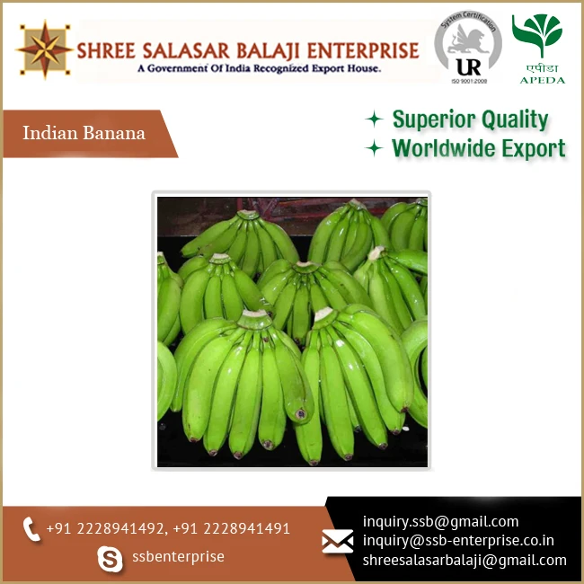 Supplier of Premium Quality Fresh Green Colored Organic Cavendish Bananas for Universal Buyers