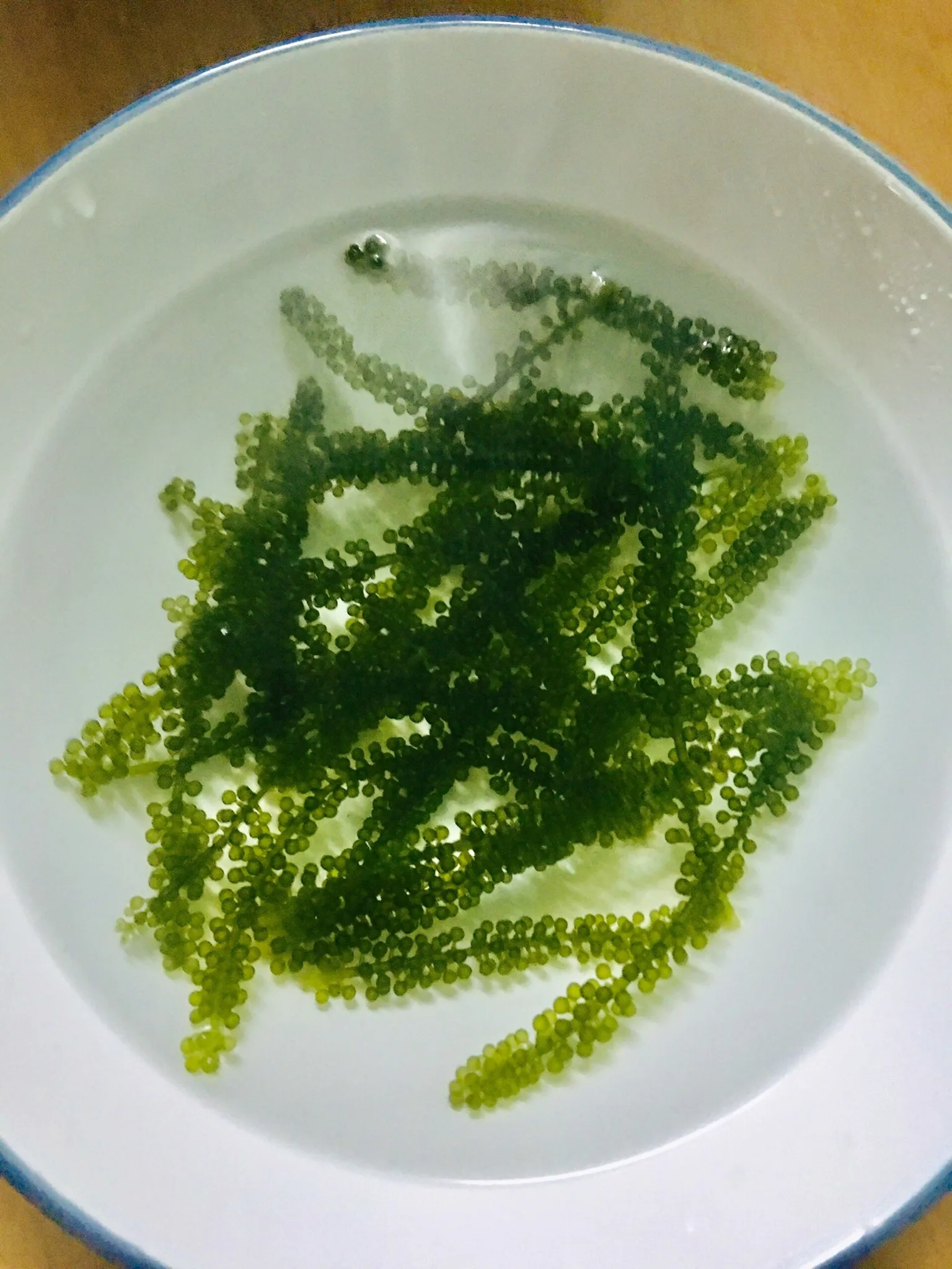 Натуральный морской виноград/органические вьетнамские деликатные водоросли/маринированные в соленой воде-Ms.Donna 84-896674503