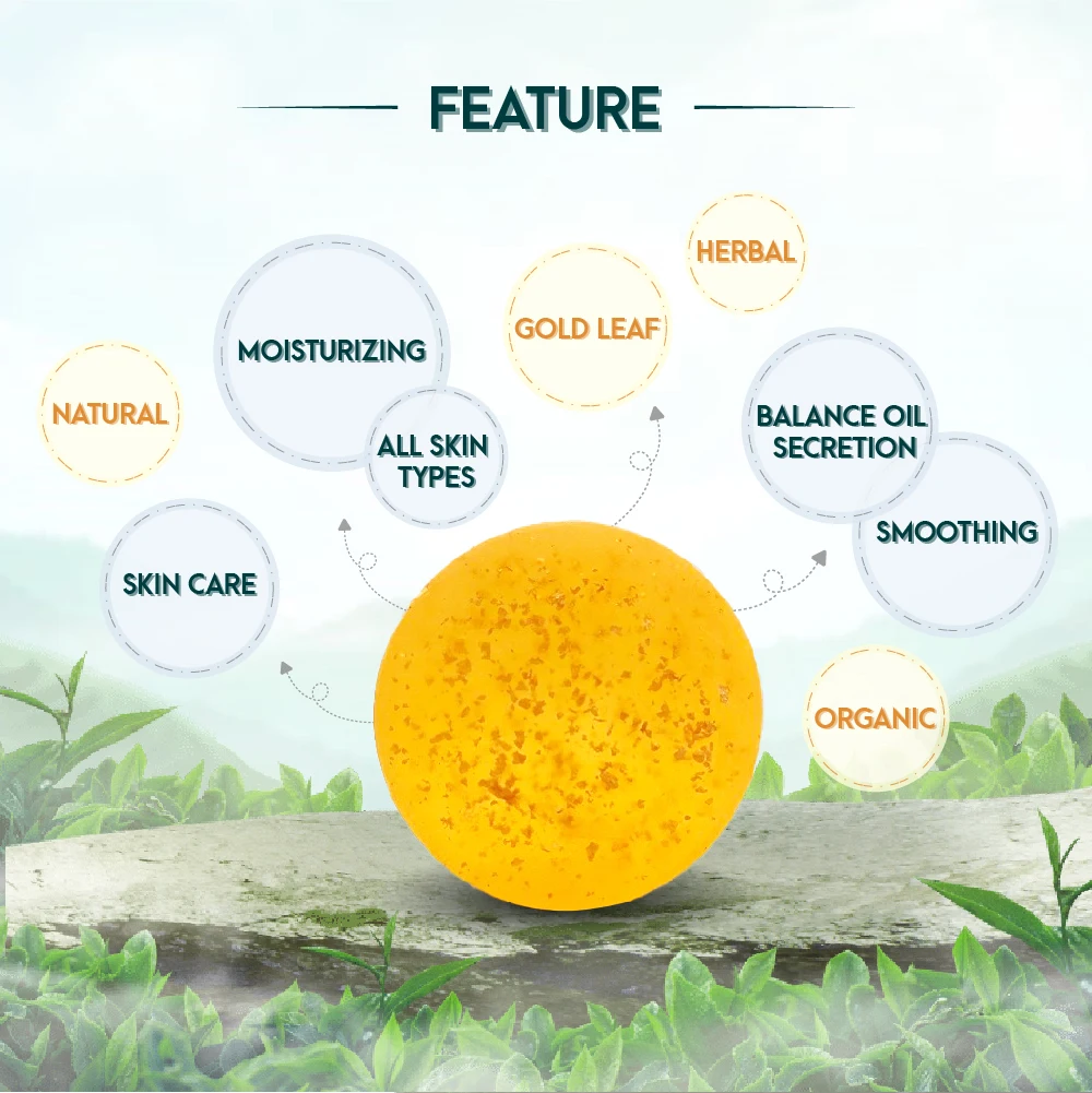 Antrodia cinnamomea natural bar soap organic for body skin cleaning