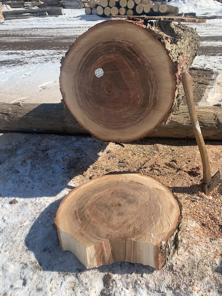 Свежее разрезанное буковое/береза/Дубовые бревна, 4-11,8 м