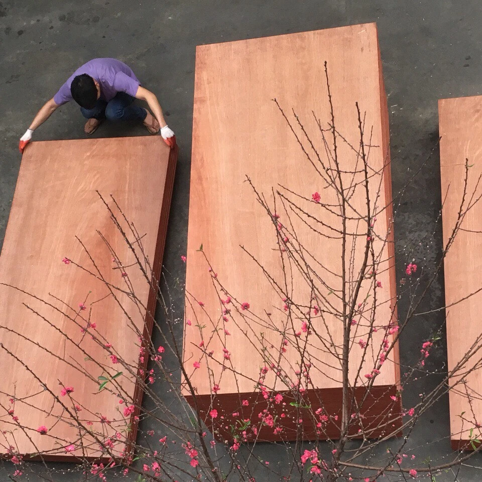 1160x2400x28 KERUING PLYWOOD FOR CONTAINER FLOORING WATER PROOF