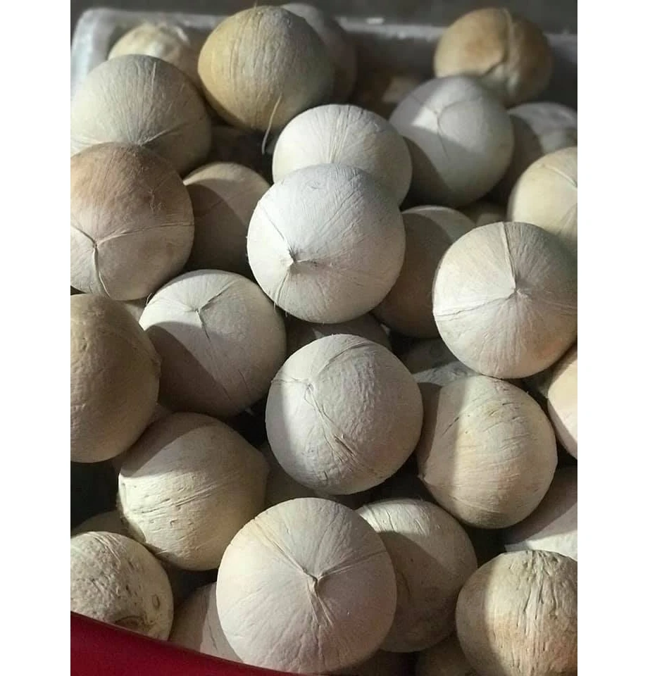 Молодой кокос свежий Вьетнам экспорт 100% свежие фрукты Лучшая цена высококачественные натуральные вкусные напитки продукт