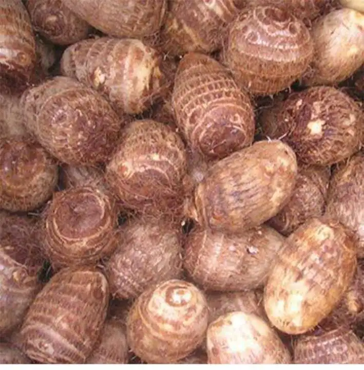High Quality And Competitive Price Frozen Taro From VietNam. Whatsapp/Wechat VI HUYNH +84 911 695 402