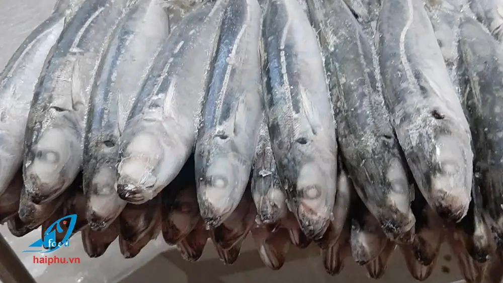 Хит продаж замороженная круглая рыба продукт компании Hai Phu с методом замораживания IQF в кунгай