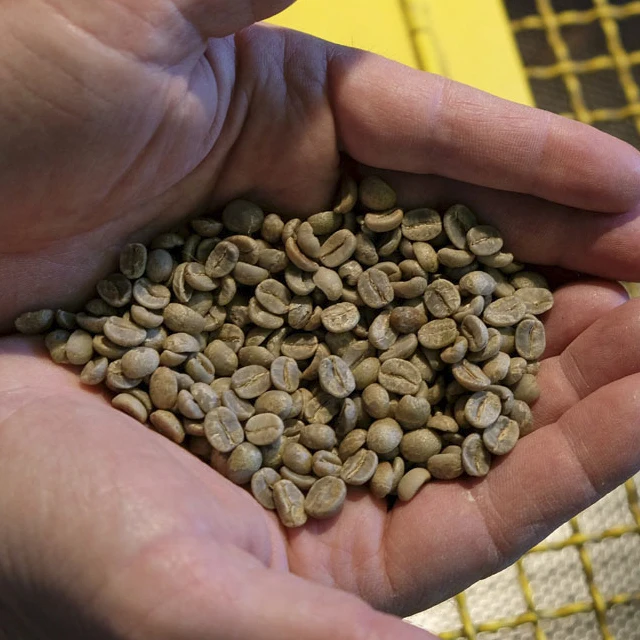 Cialde caffe Bonito italian best quality coffee 18 brazilian roast arabica coffee pods box