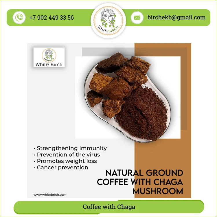 Best Quality Herbal Ingredients Chaga Mushroom Extract Chaga with Coffee Mushroom Powder