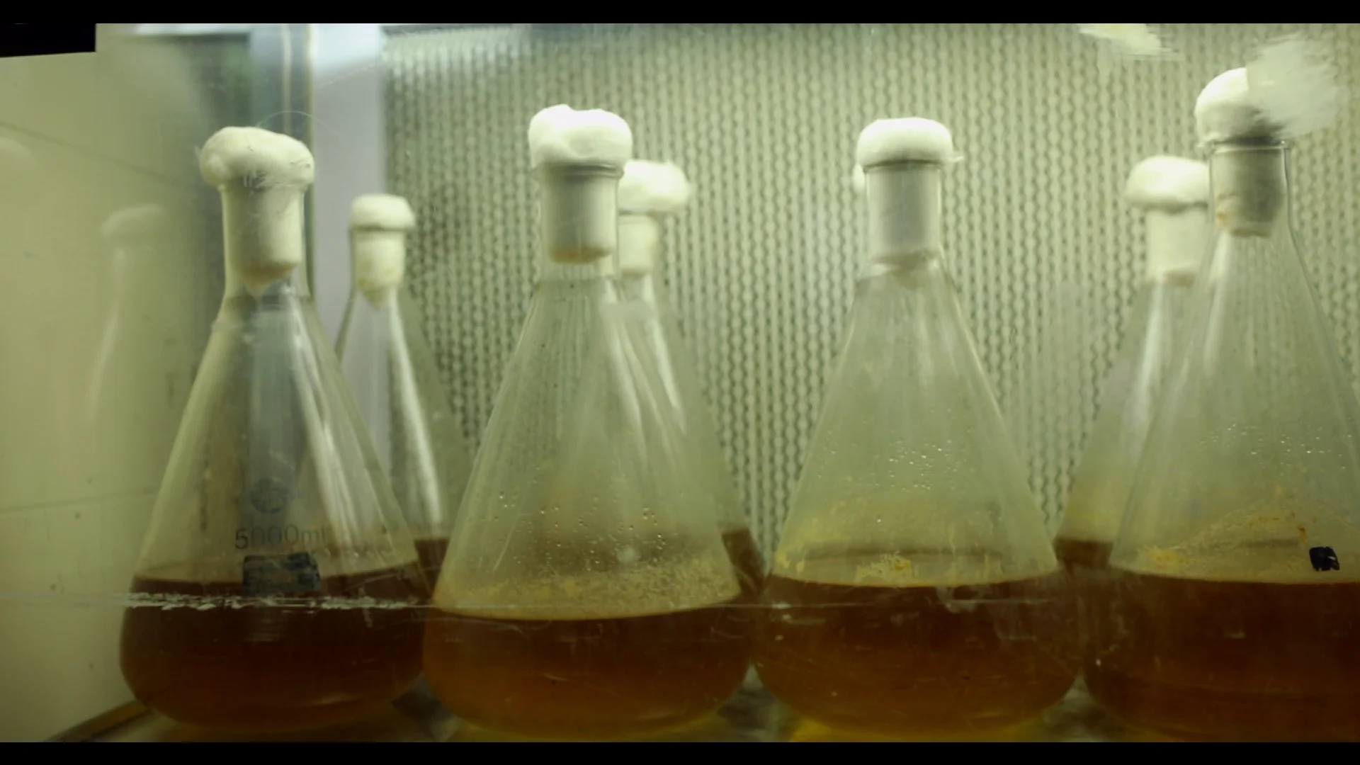 
Eco Friendly Bio Fungicide For Crop Protection Nanotech Product Reduces Microbes 