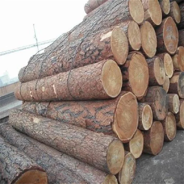 Лидер продаж эвкалиптовая древесина круглые бревна деревянная для