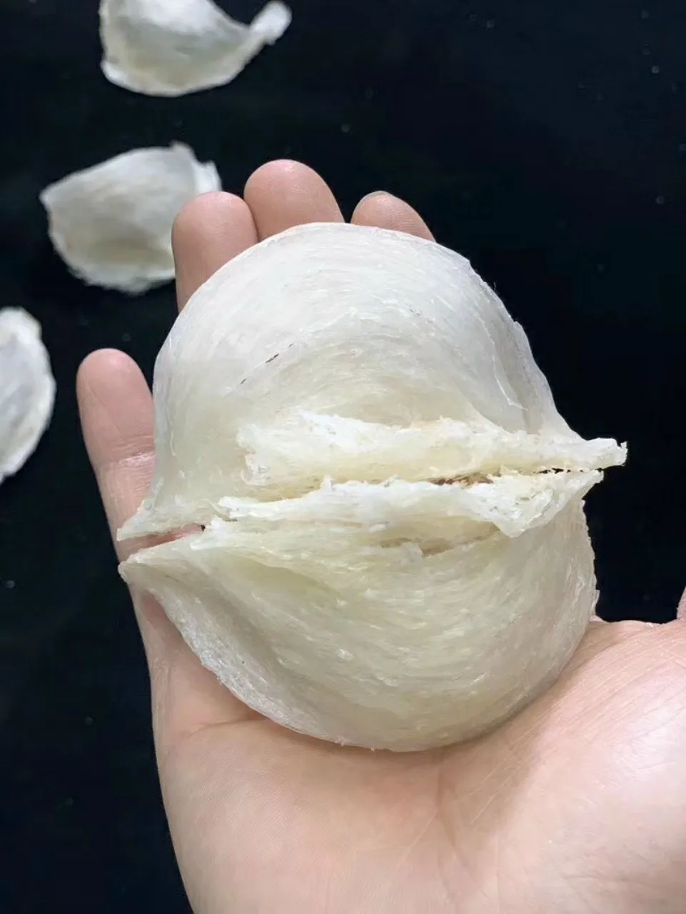 
High Quality Low-fat Protein Bird Nest Good For Health From Salanganes Vietnam for Export 