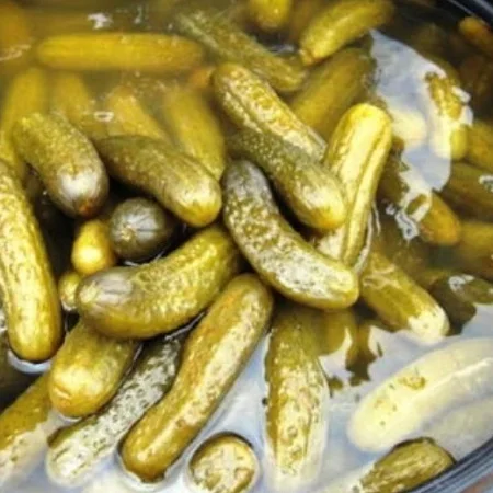 100% Natural  Cucumber/Gherkins/Cornichons/ Preserved in Acetic Acid in Barrels/Bucket/Pails -FSSC22000 V5 standards