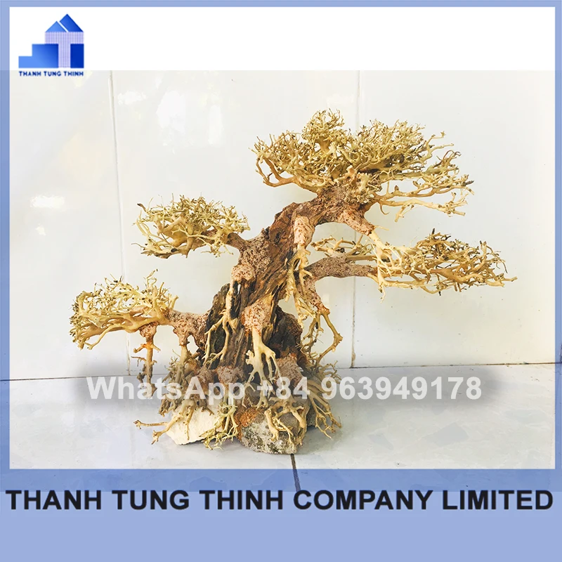 2024 Новинка высококачественные коряги бонсай для аквариума оптом WhatsApp + 84 961005832