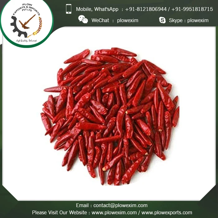 Indian Spices Dry Red Chillies TejaS17 Stemless