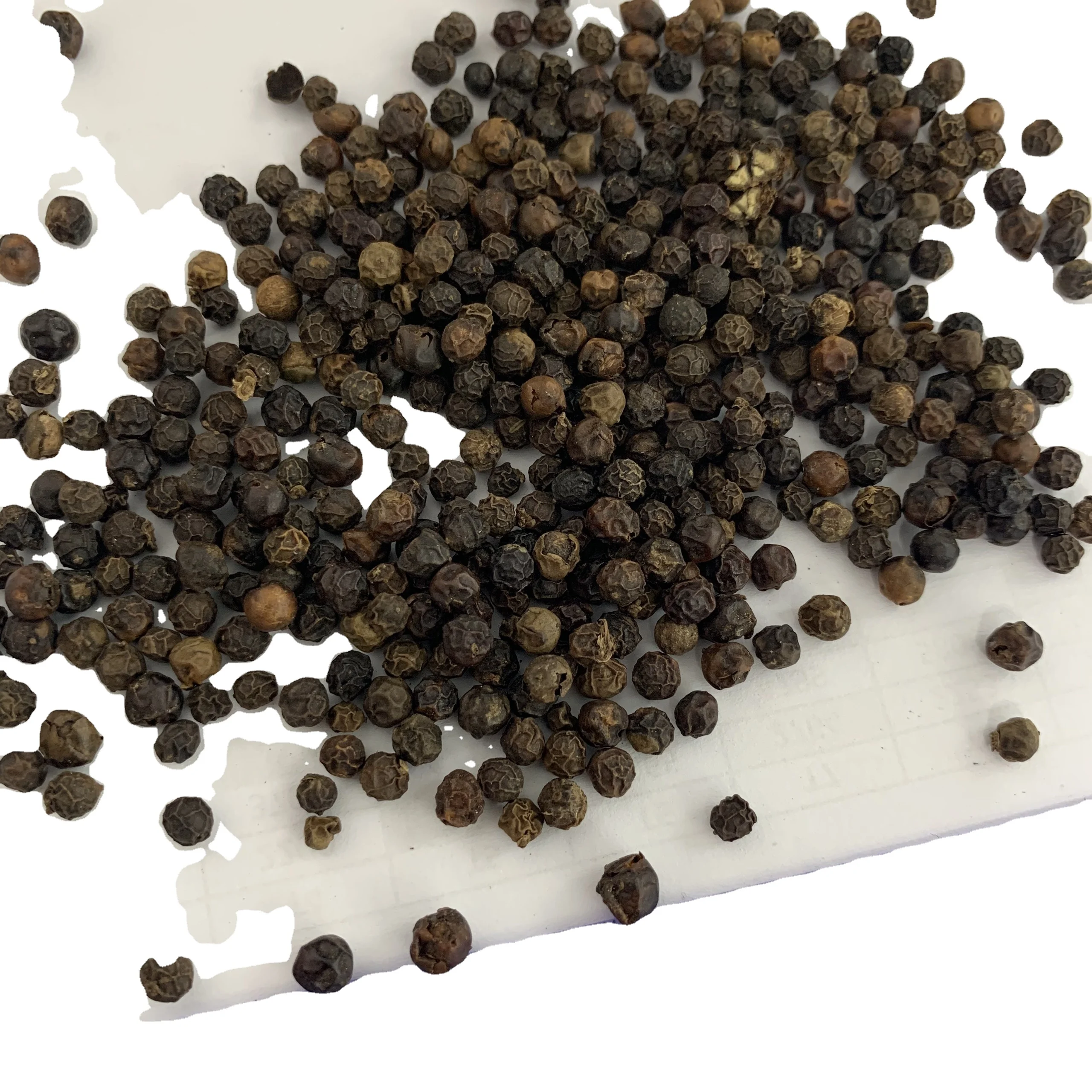 Черный перец черный 570GL | Лидер продаж высококачественный из Вьетнама Оптовая продажа