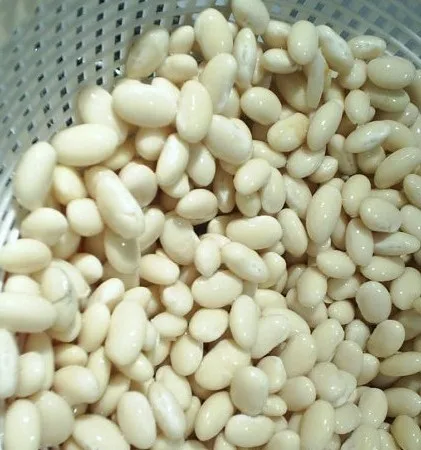 High Quality Butter Beans From Thailand (1700007632532)