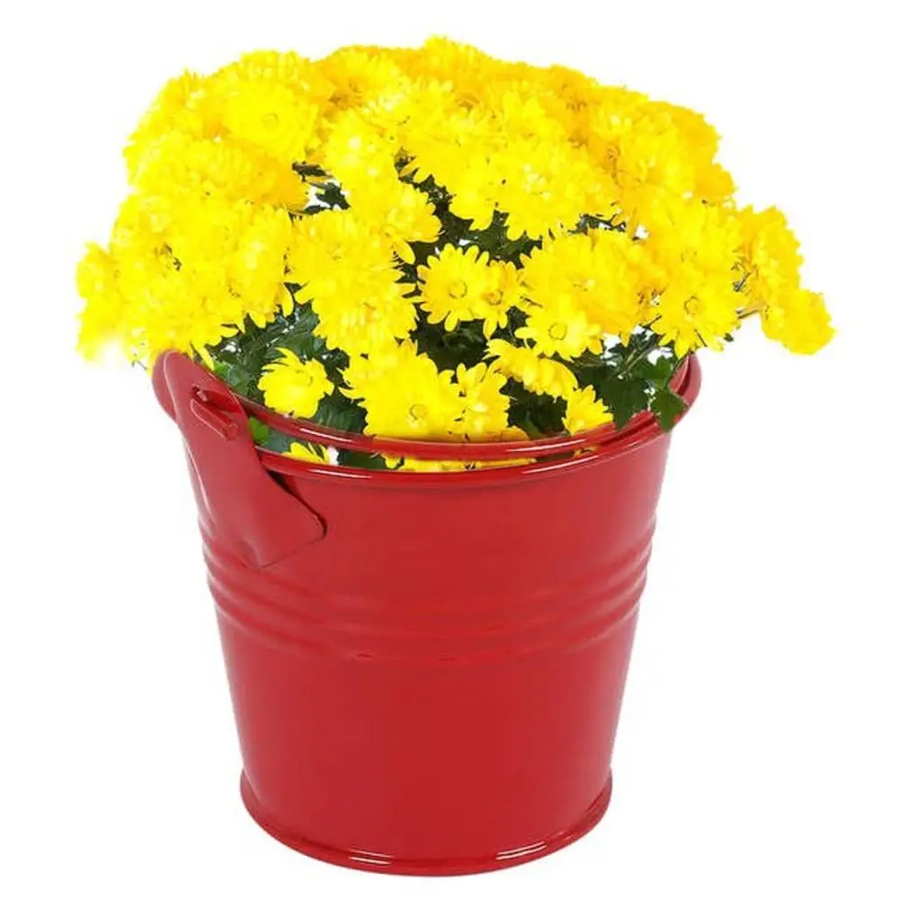 American style Antique Small metal planter pot Home & garden iron succulent artificial flower Bucket