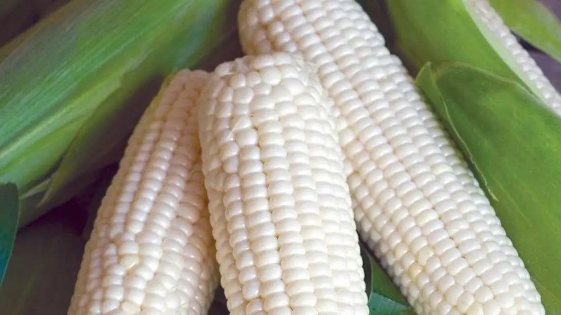 Wholesale price frozen corn whole kernels white corn