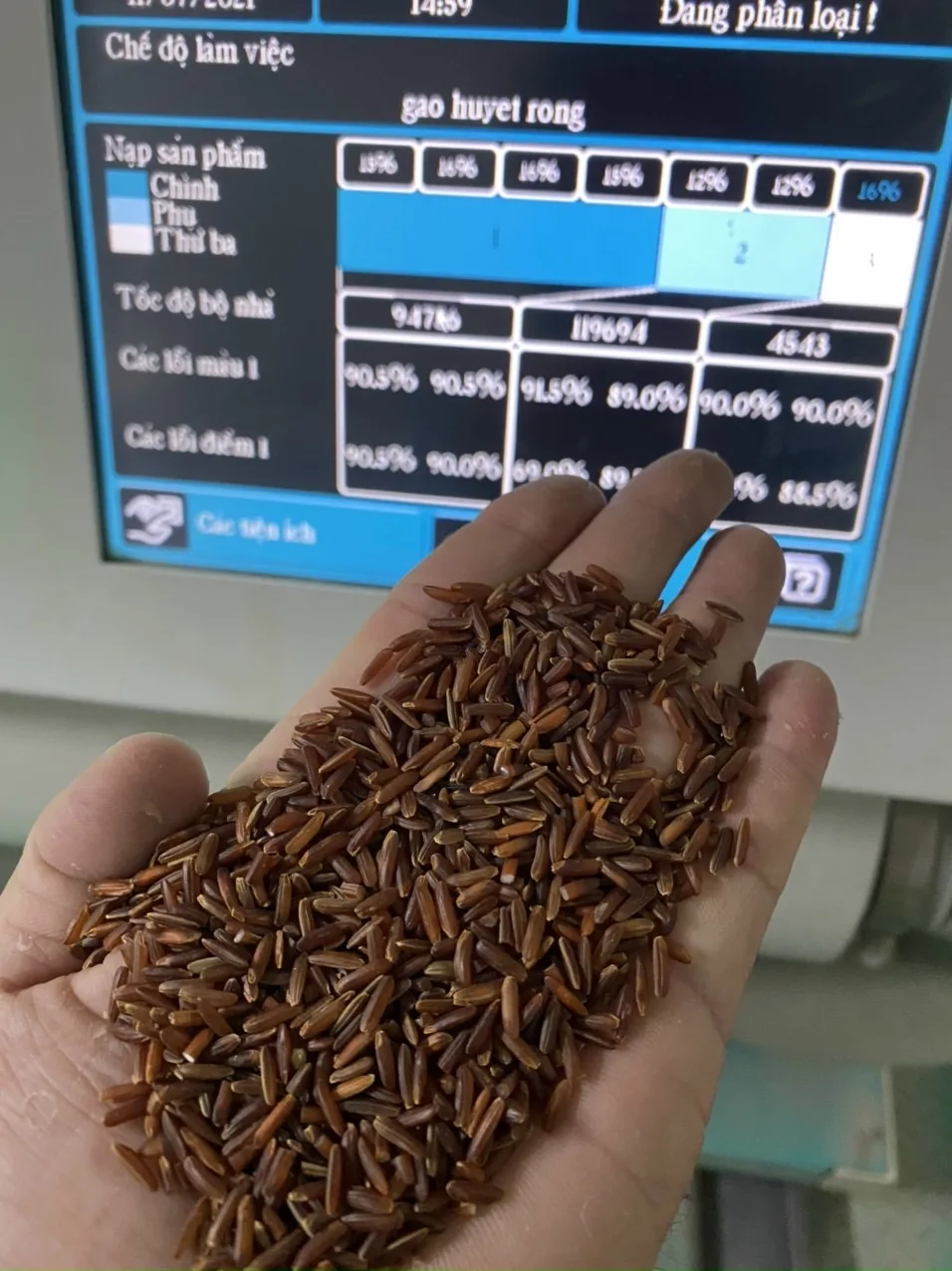 Natural Organic Red Rice Made In Viet Nam