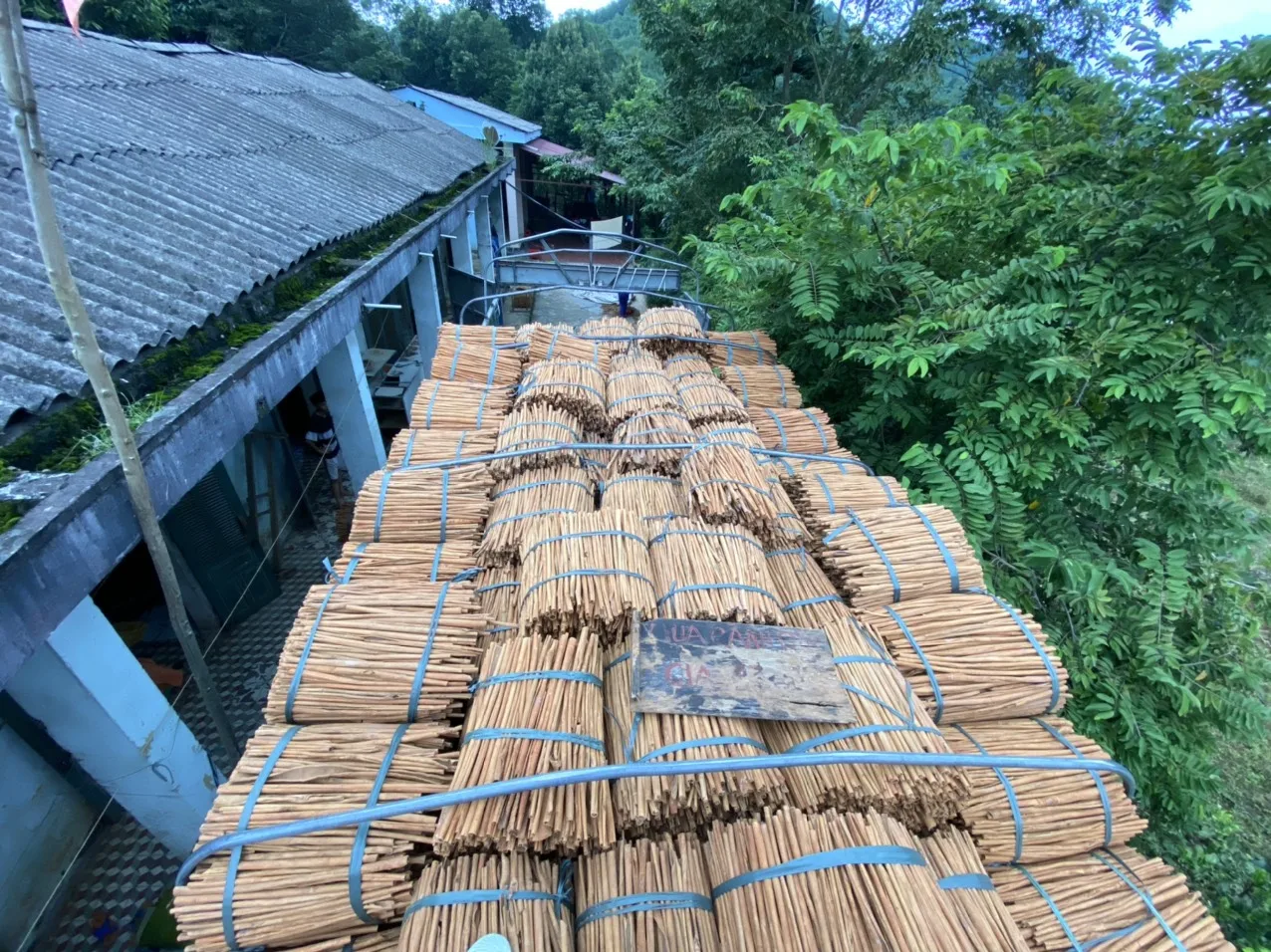 Лидер продаж аппарат для производства экстракта коричного масла корица цинамон пищевые ингредиенты одиночные специи травы Цейлон