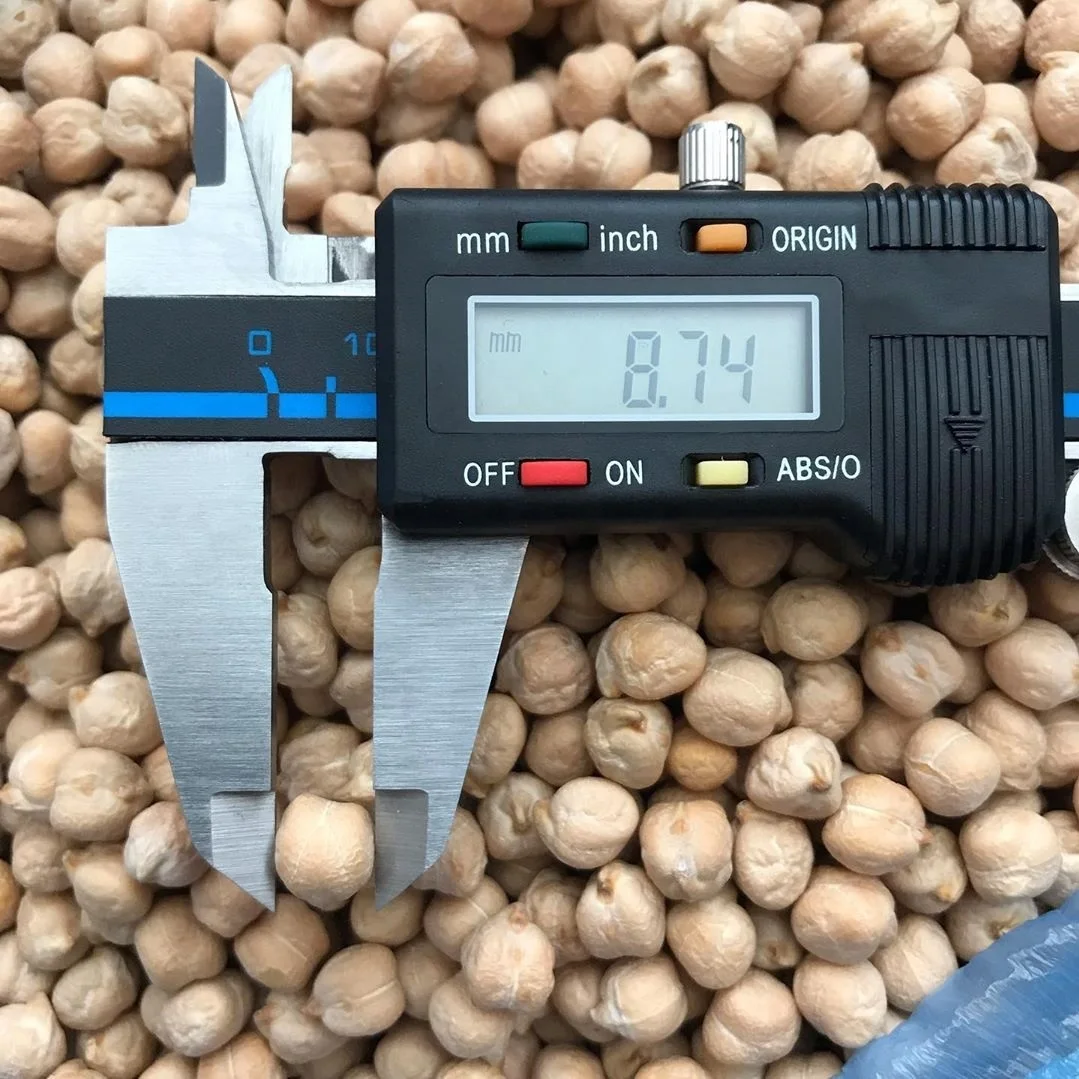 
High Quality White Dried Chickpeas 