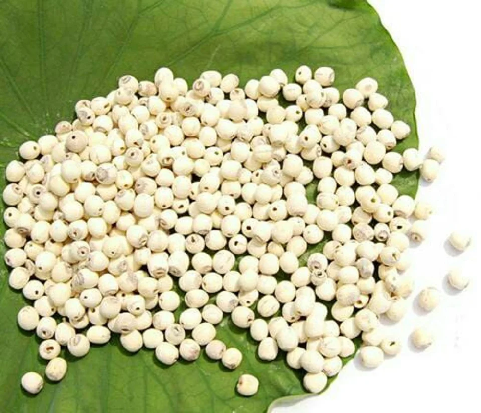 Peeled Clean Lotus Seeds/White lotus seeds/Delicious soup lotus seeds from Vietnam