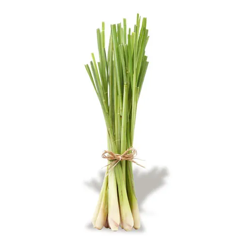 LEMONGRASS From Vietnam with Frozen Vegetables Good Price- LINDA Whatsapp 0084 989 322
