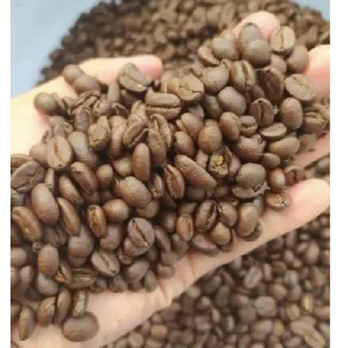 
In Zipper Bag Packaging 12 Months Shelf Life 100% Maturity Robusta Roasted Coffee Bean 500g Pure Coffee Beans ISO, HACCP a Grade 
