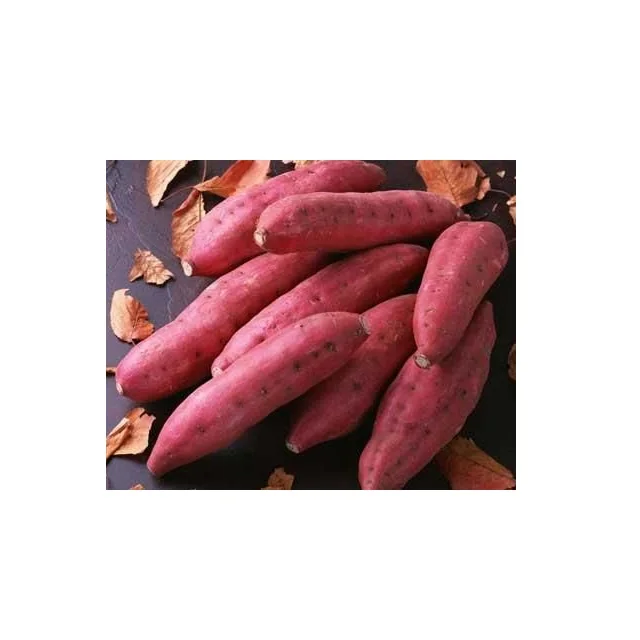 Бесплатный налог-оптовая продажа для японского крахмала сладкого картофеля/муки картофеля по низкой цене Global Gap Вьетнам сладкий свежий картофель