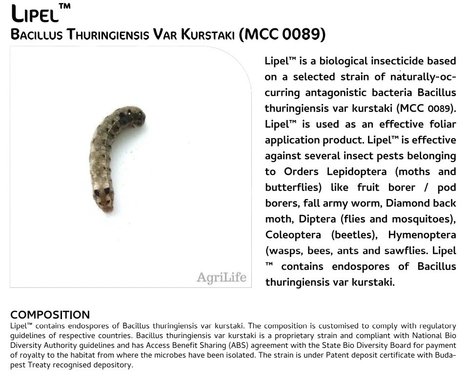 Screenshot (1055).png