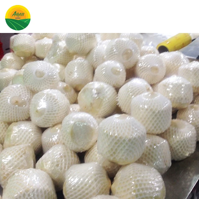 Young Coconut Diamond shape