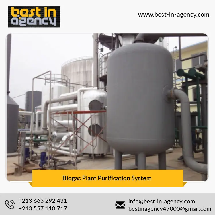 Dry and Wet Anaerobic Biogas-Nature Gas Conversion Plant Upgrading/Decarburization/Purification System