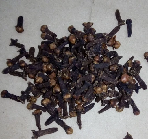 
Indonesian Clove | Dried Clove | Clove Spice 