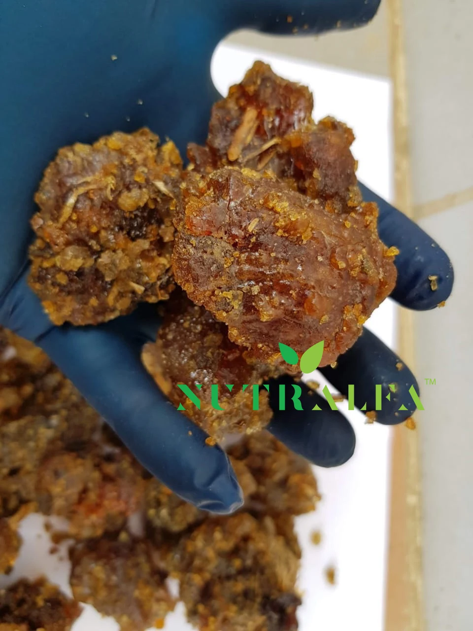 Gum Guggul Pure Grade for Extract - High Guggalsterones E & Z Count