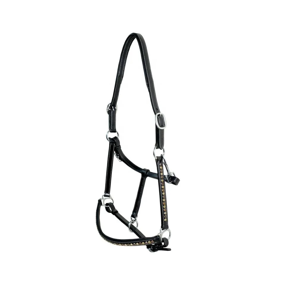 Premium DD Leather Horse Riding Halter Manufacturers
