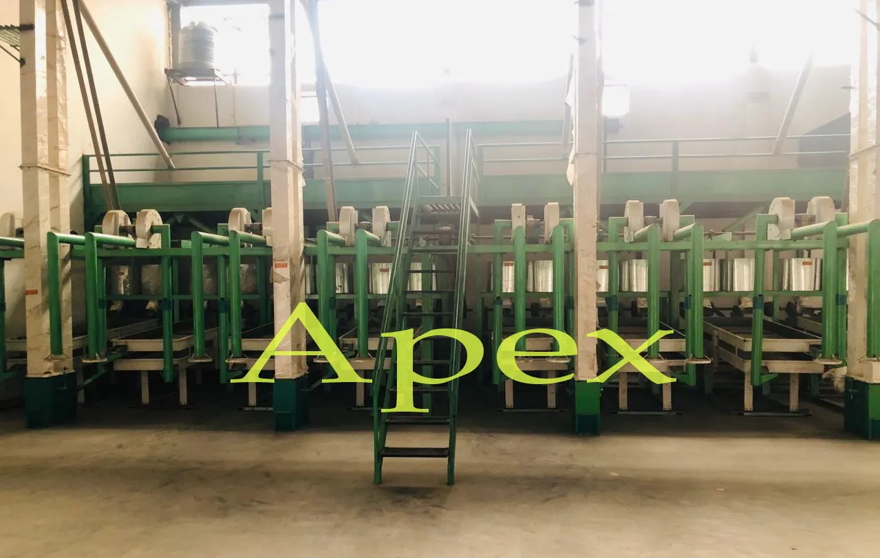 Watermelon Seeds and Kernel Maghaz kernel